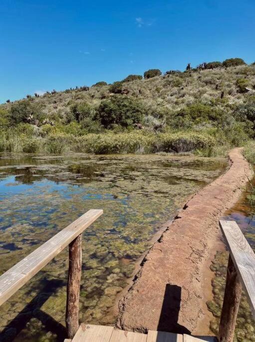 Owl Cottage - Living The Breede Malgas ภายนอก รูปภาพ